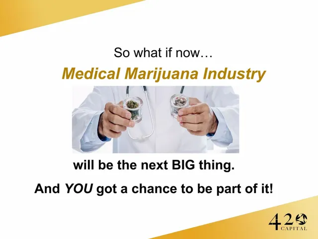 Why now slide 5 from 420 Capital