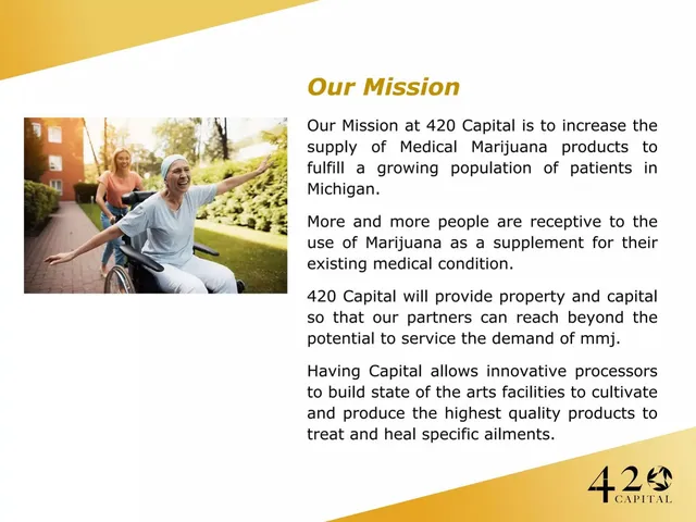 Vision slide 8 from 420 Capital