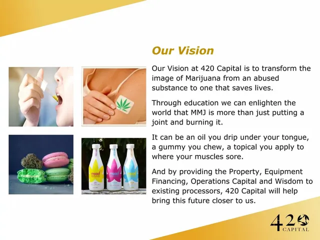 Vision slide 9 from 420 Capital