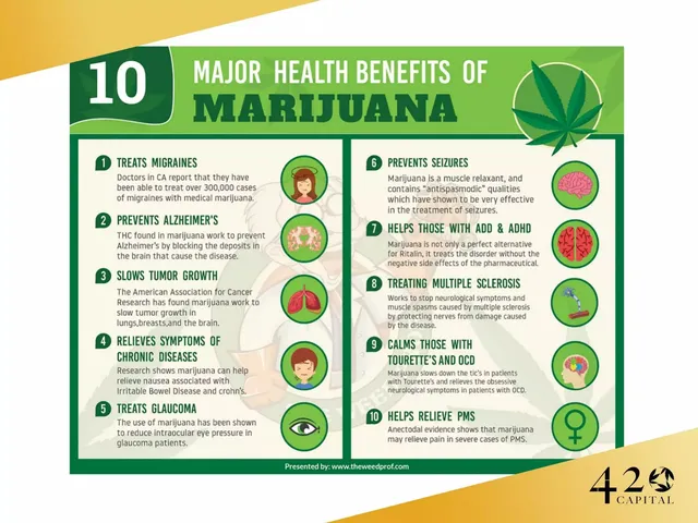 Product / solution slide 10 from 420 Capital