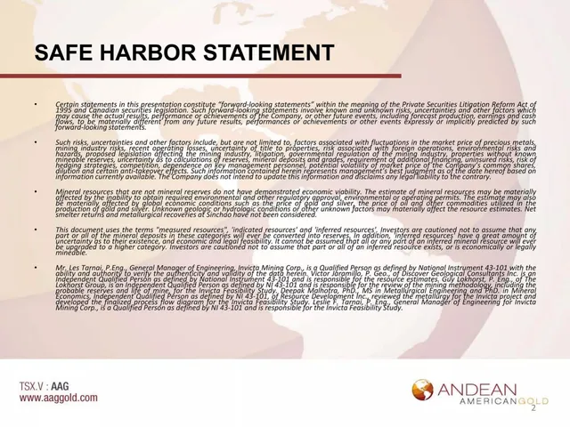 Disclaimer slide 2 from Andean American Gold