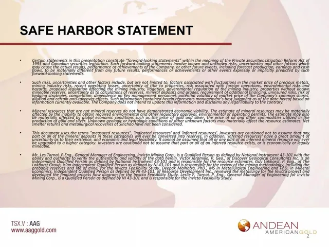 Disclaimer slide 2 from Andean American Gold