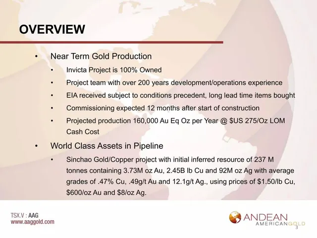 Company overview slide 3 from Andean American Gold