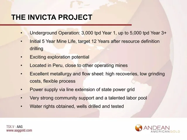 Company overview slide 5 from Andean American Gold