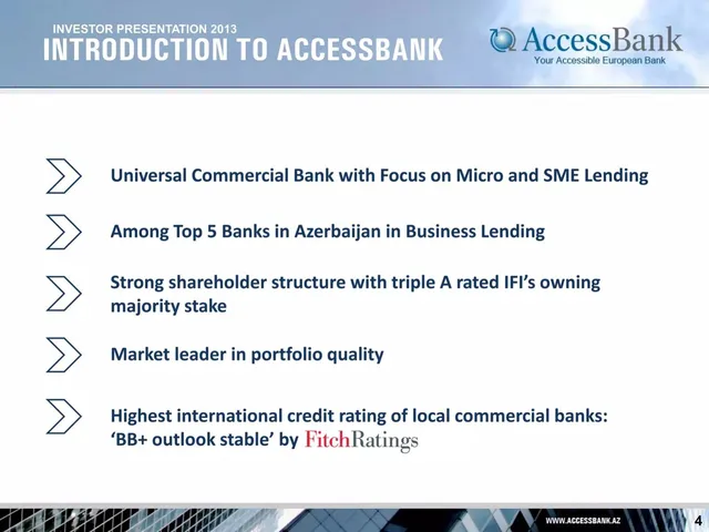 Company overview slide 4 from AccessBank