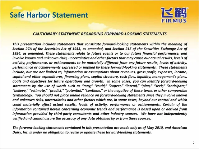 Disclaimer slide 2 from Ady