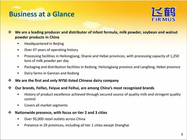 Company overview slide 3 from Ady