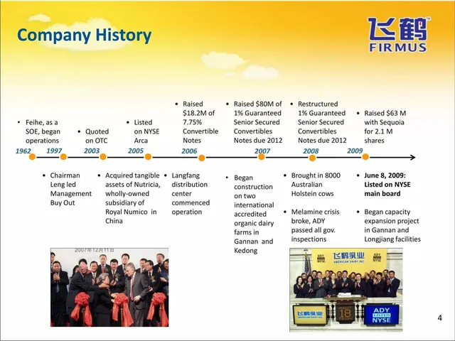 Company overview slide 4 from Ady