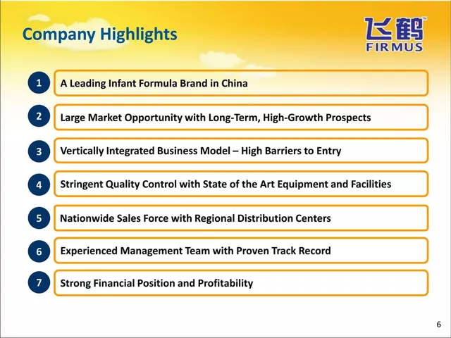 Company overview slide 6 from Ady