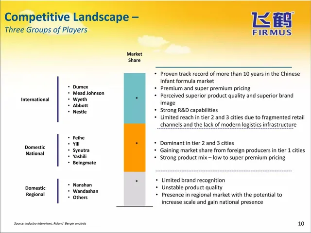 Competitors slide 10 from Ady