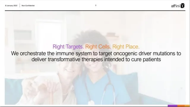 Vision slide 3 from Affini-T