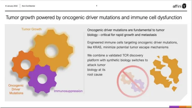 Technology slide 4 from Affini-T