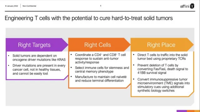 Technology slide 5 from Affini-T