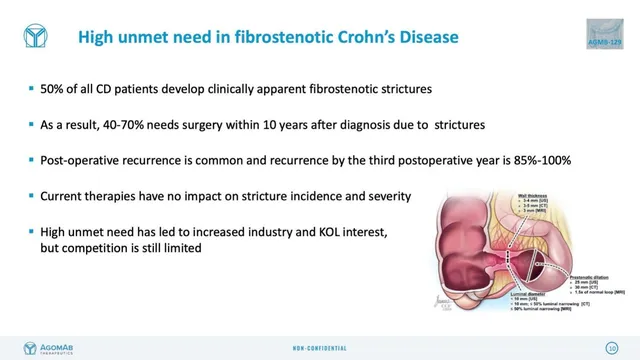 Problem slide 10 from AgomAb Therapeutics