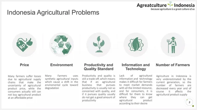 Problem slide 3 from Agreatculture Indonesia