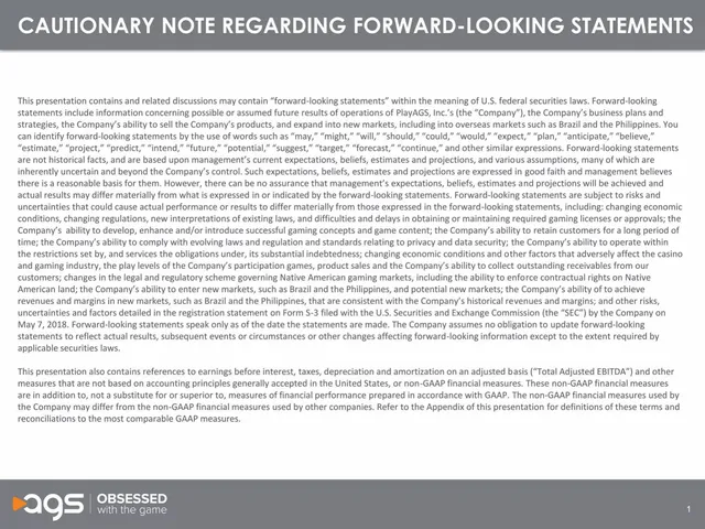 Disclaimer slide 2 from AGS