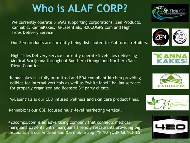 Company overview slide 2 from ALAF Corp
