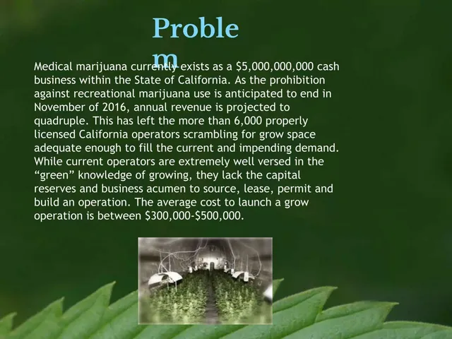Problem slide 3 from ALAF Corp
