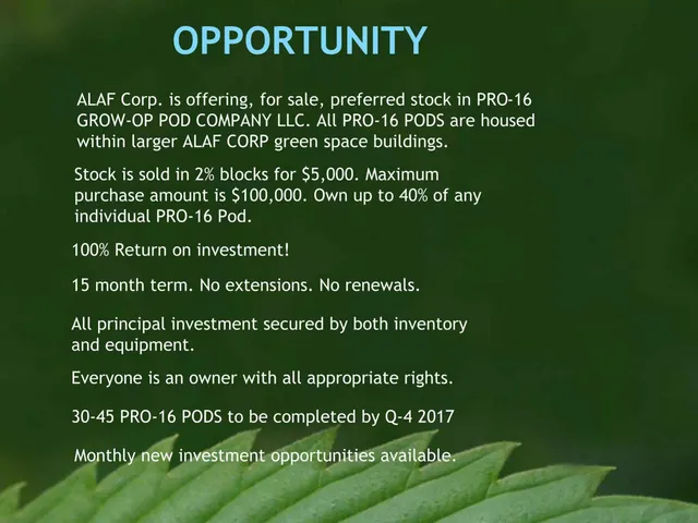 Ask & use of funds slide 6 from ALAF Corp
