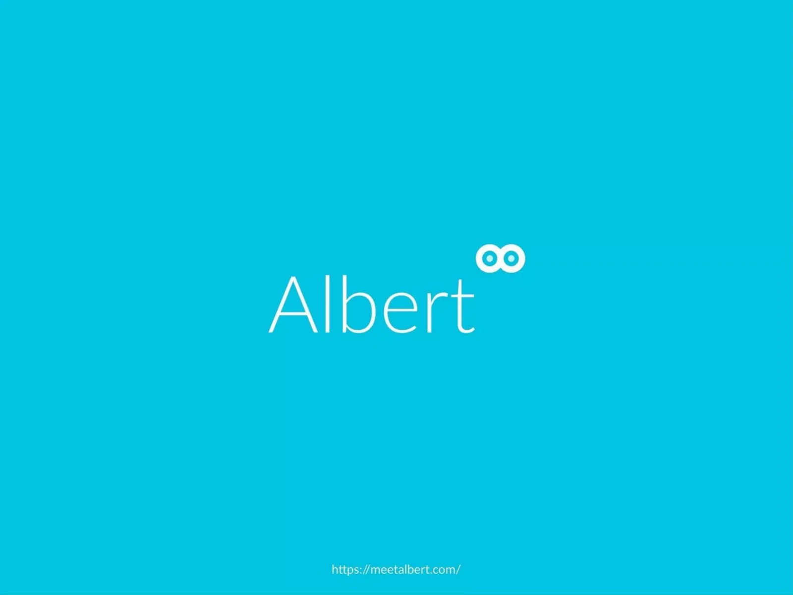 Albert pitch deck slide