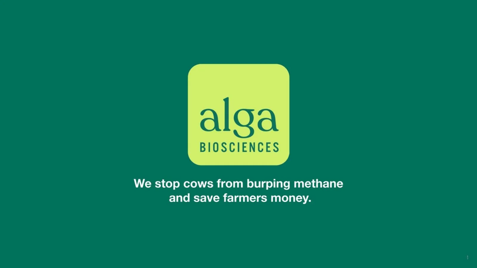 Alga Biosciences pitch deck slide