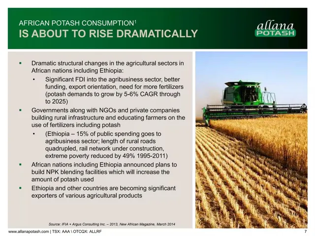 Market analysis / overview slide 7 from Allana Potash