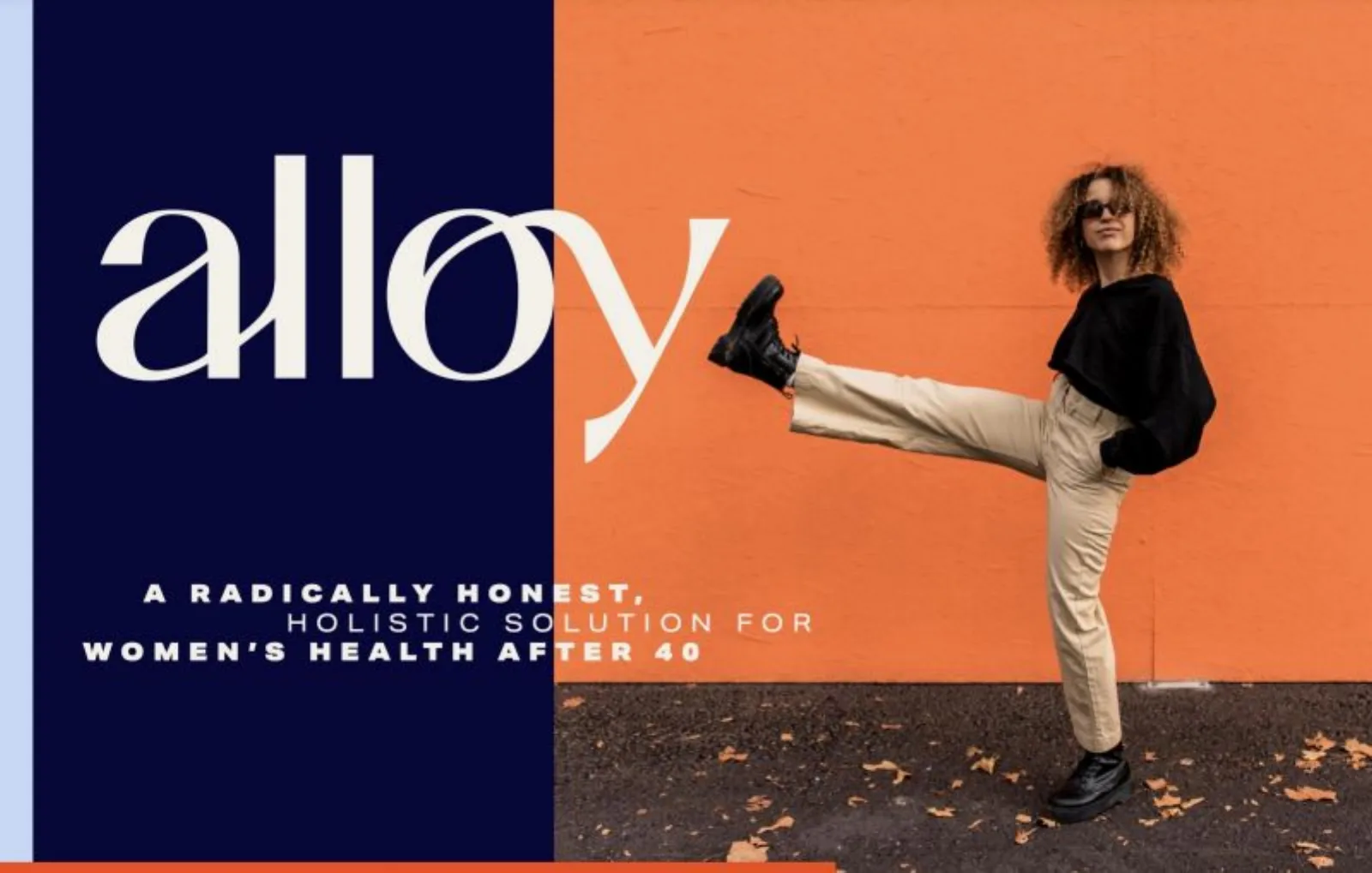 Alloy pitch deck slide