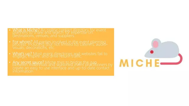 Problem slide 3 from Miche