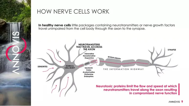 Technology slide 9 from Annovis