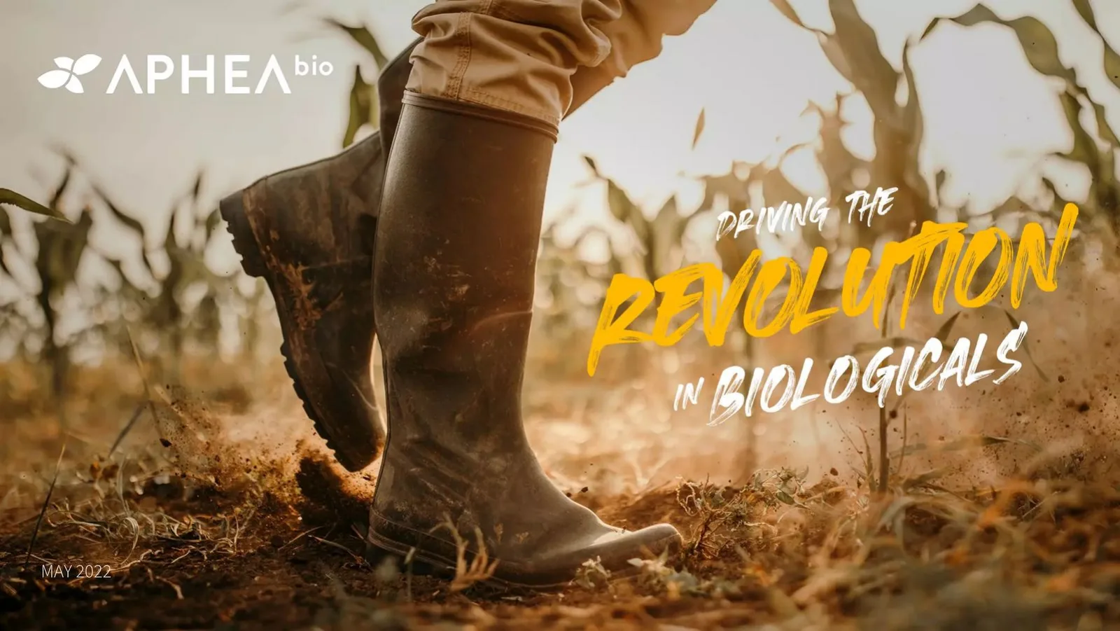 Aphea.Bio pitch deck slide