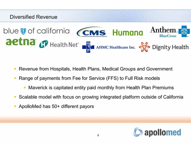 Business model / revenue streams slide 6 from Apollo Medical Holdings, Inc.