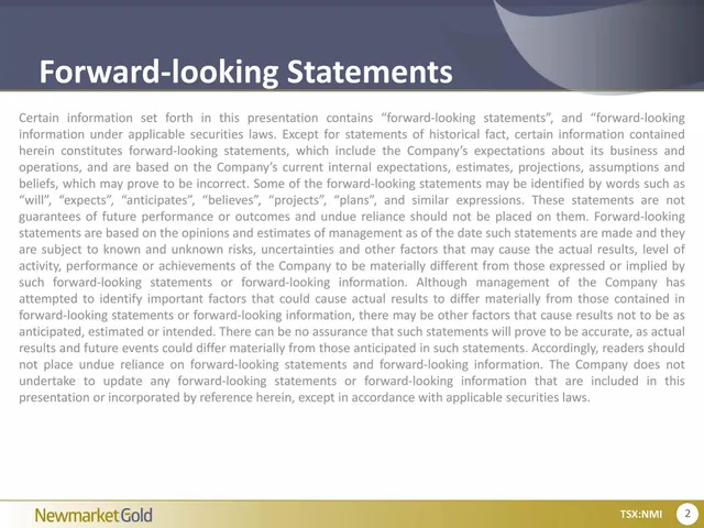 Disclaimer slide 2 from Newmarket Gold