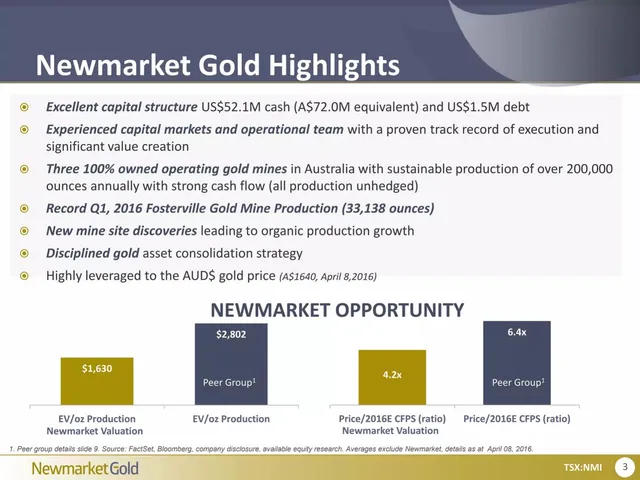 Company overview slide 3 from Newmarket Gold