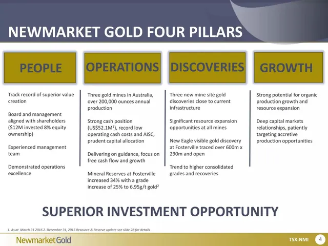 Company overview slide 4 from Newmarket Gold