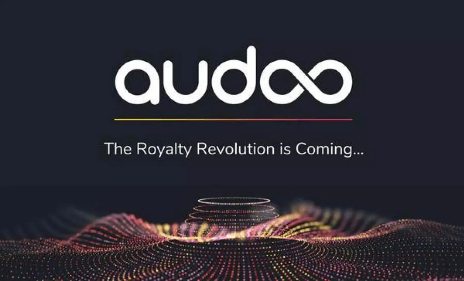 Audoo pitch deck slide