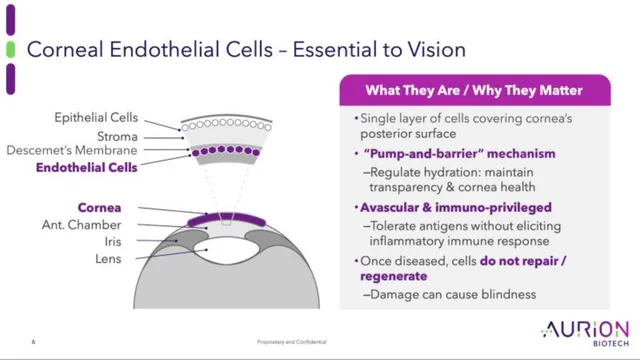 Technology slide 6 from Aurion Biotech
