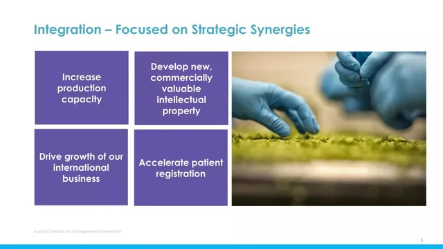Section divider slide 5 from Aurora Cannabis Inc.