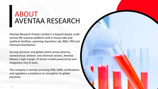 Company overview slide 2 from Aventaa Research Private Limited