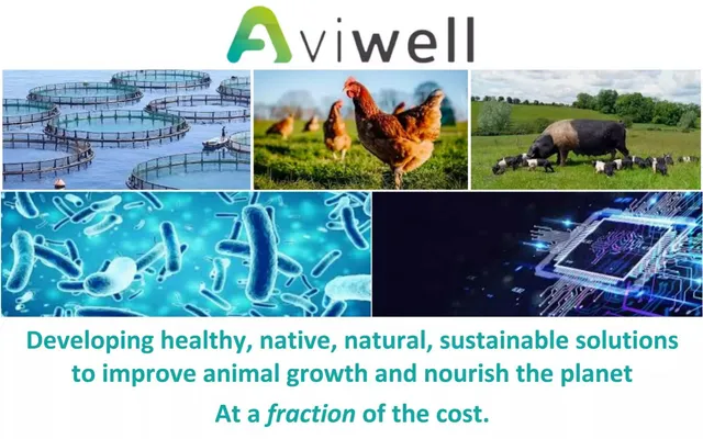 Aviwell pitch deck cover