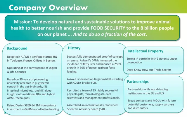 Company overview slide 2 from Aviwell