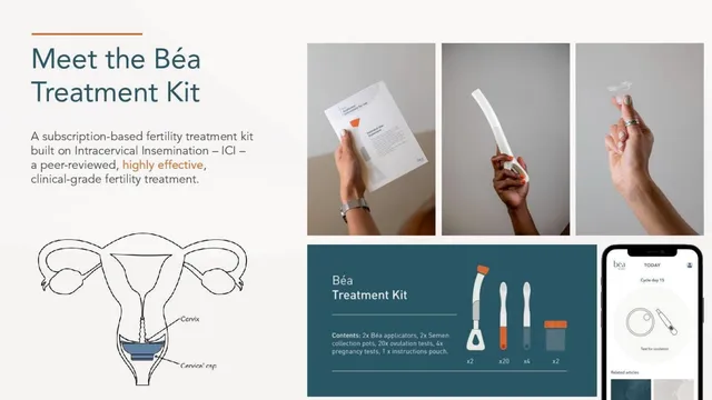 Product / solution slide 4 from Béa Fertility