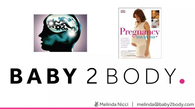 Section divider slide 5 from Baby 2 Body