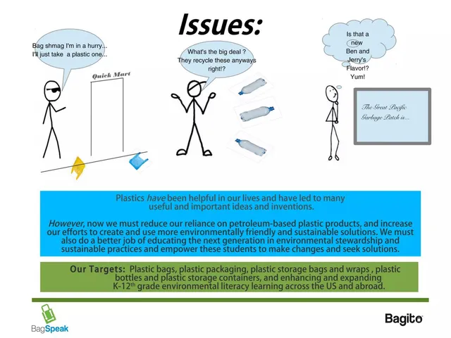 Problem slide 2 from Bag Speak and Bagito