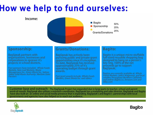 Business model / revenue streams slide 3 from Bag Speak and Bagito