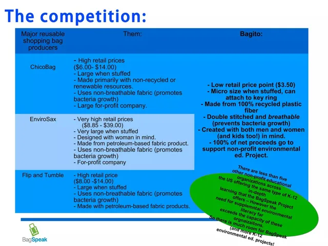 Competitors slide 6 from Bag Speak and Bagito