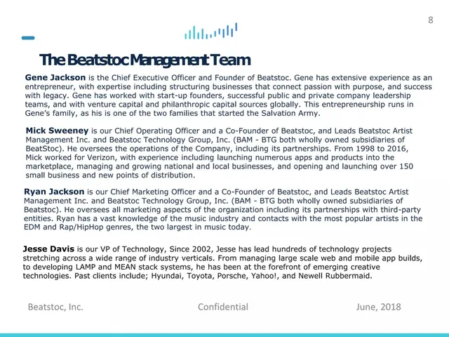 Team slide 8 from Beatstoc, Inc.