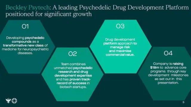 Company overview slide 5 from Beckley Psytech