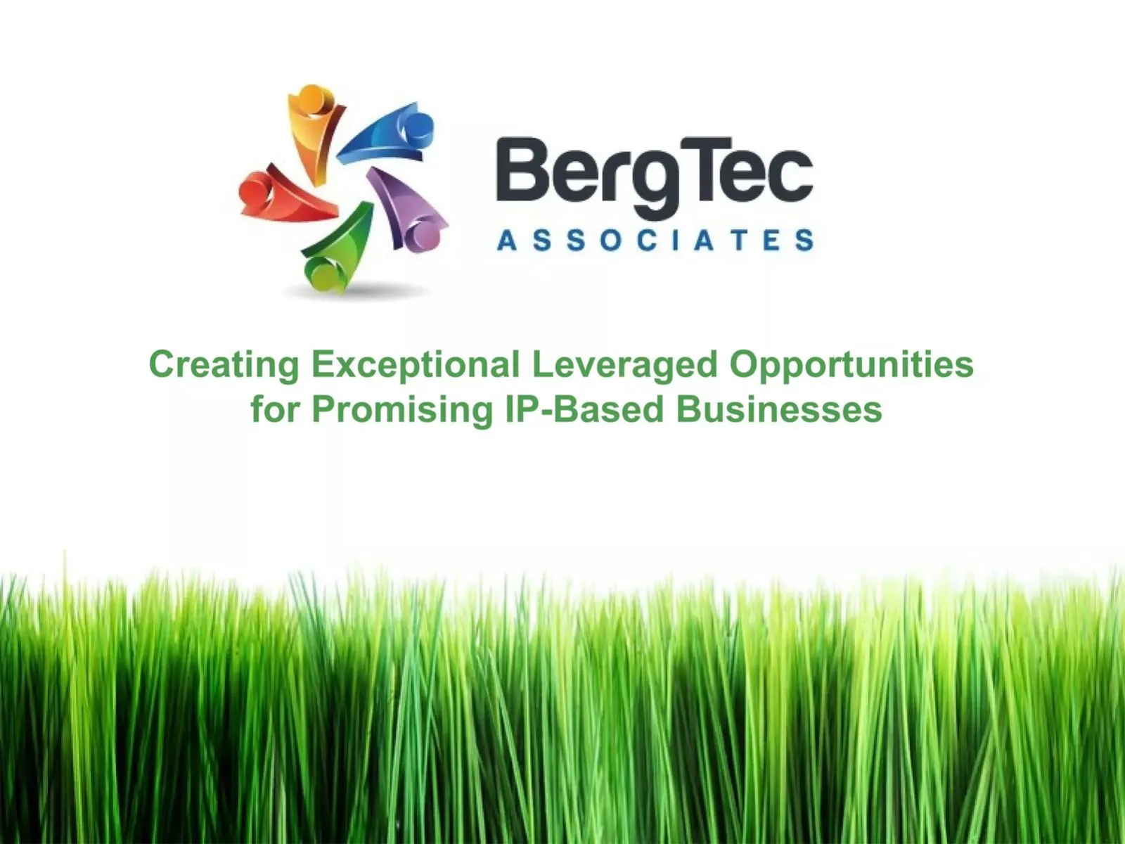 BergTec Associates Corp pitch deck slide