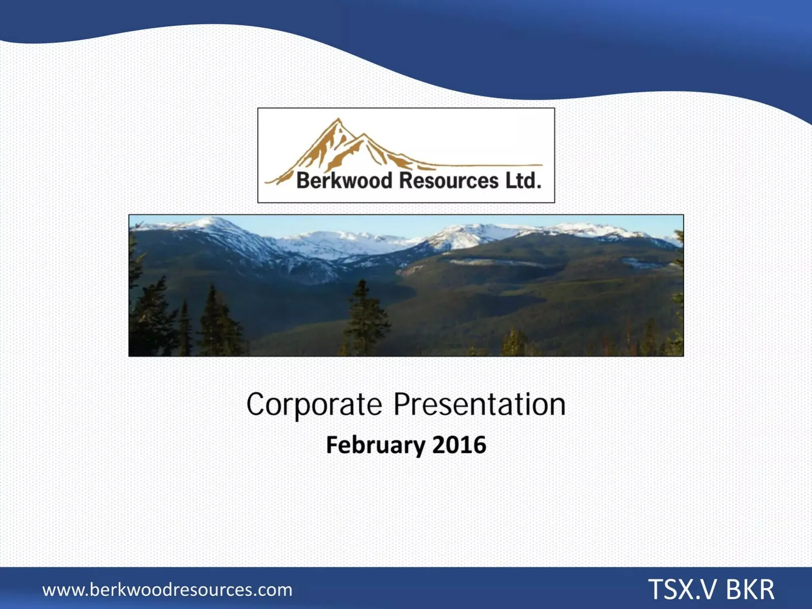 Berkwood Resources Ltd. pitch deck slide