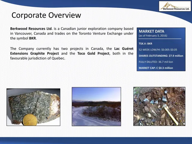 Company overview slide 3 from Berkwood Resources Ltd.